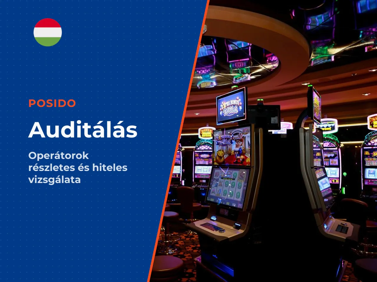 A magyar piacon releváns információk, a