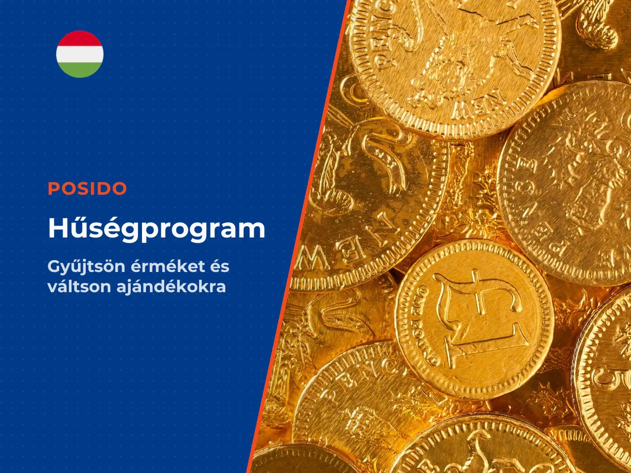VIP program, Shell Coins és a