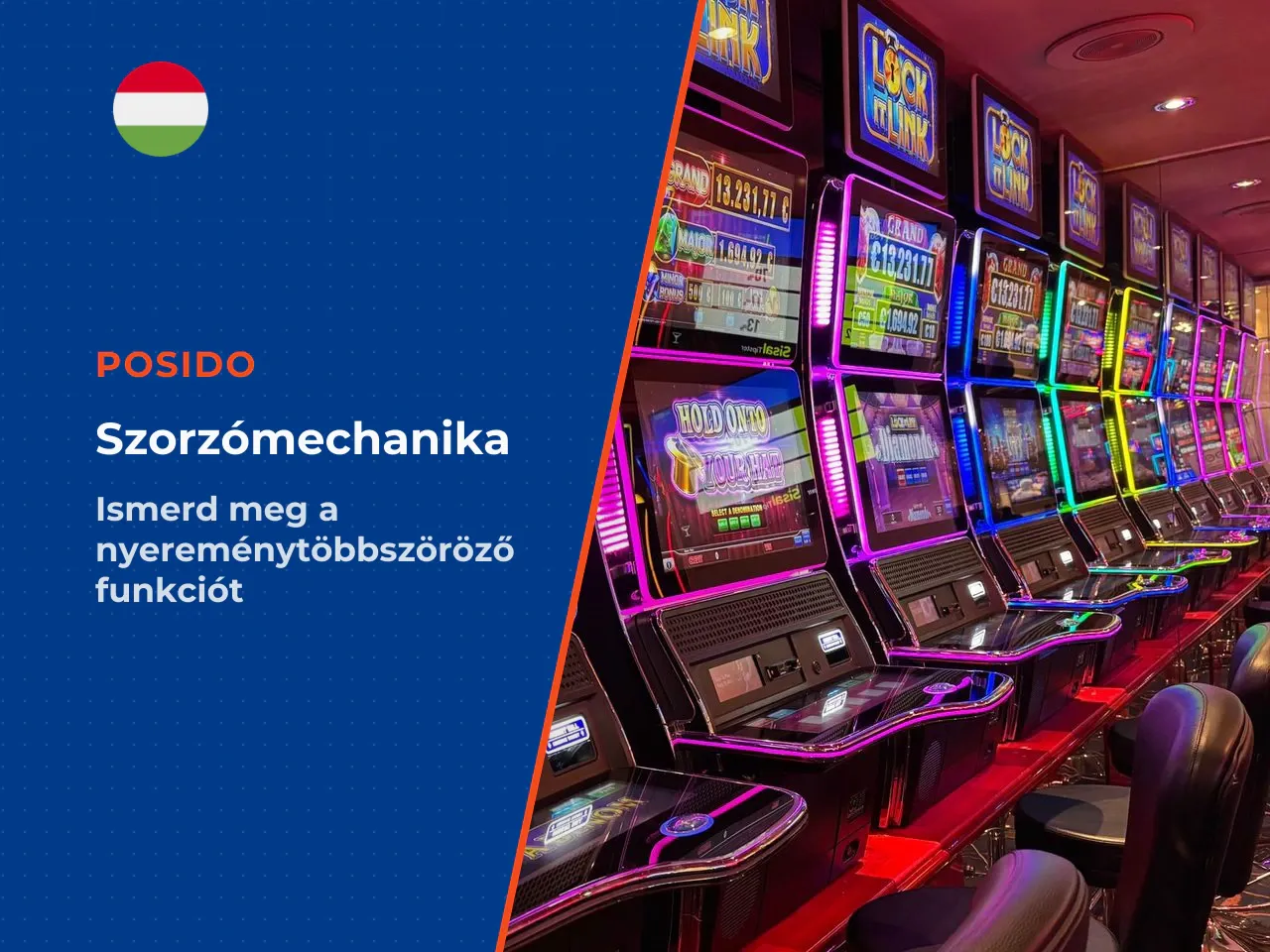 Multiplier Spots funkció és szorzómezők. A